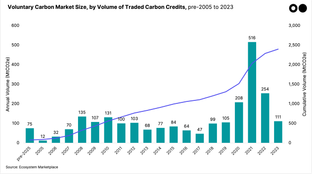 🌎 The UN gives (carbon) credit where it’s due #223