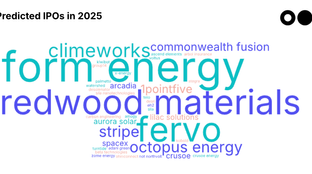 🌎🔮 Your 2025 Climate Tech Oracle results